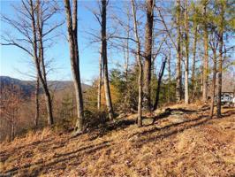 #27 Hawks Nest Trail