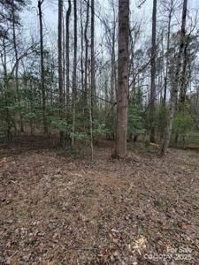 TBD Elmwood Drive