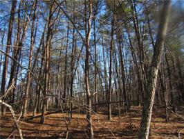 0 Buffalo Shoals Road