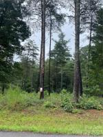 3146 Bear Paw