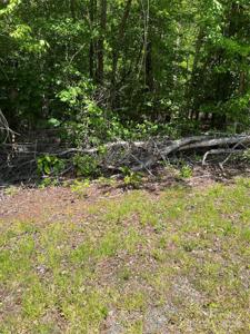 146 Woodline Drive