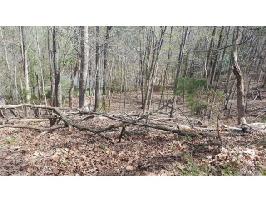 Lot 86 16086 Heron Run Drive 