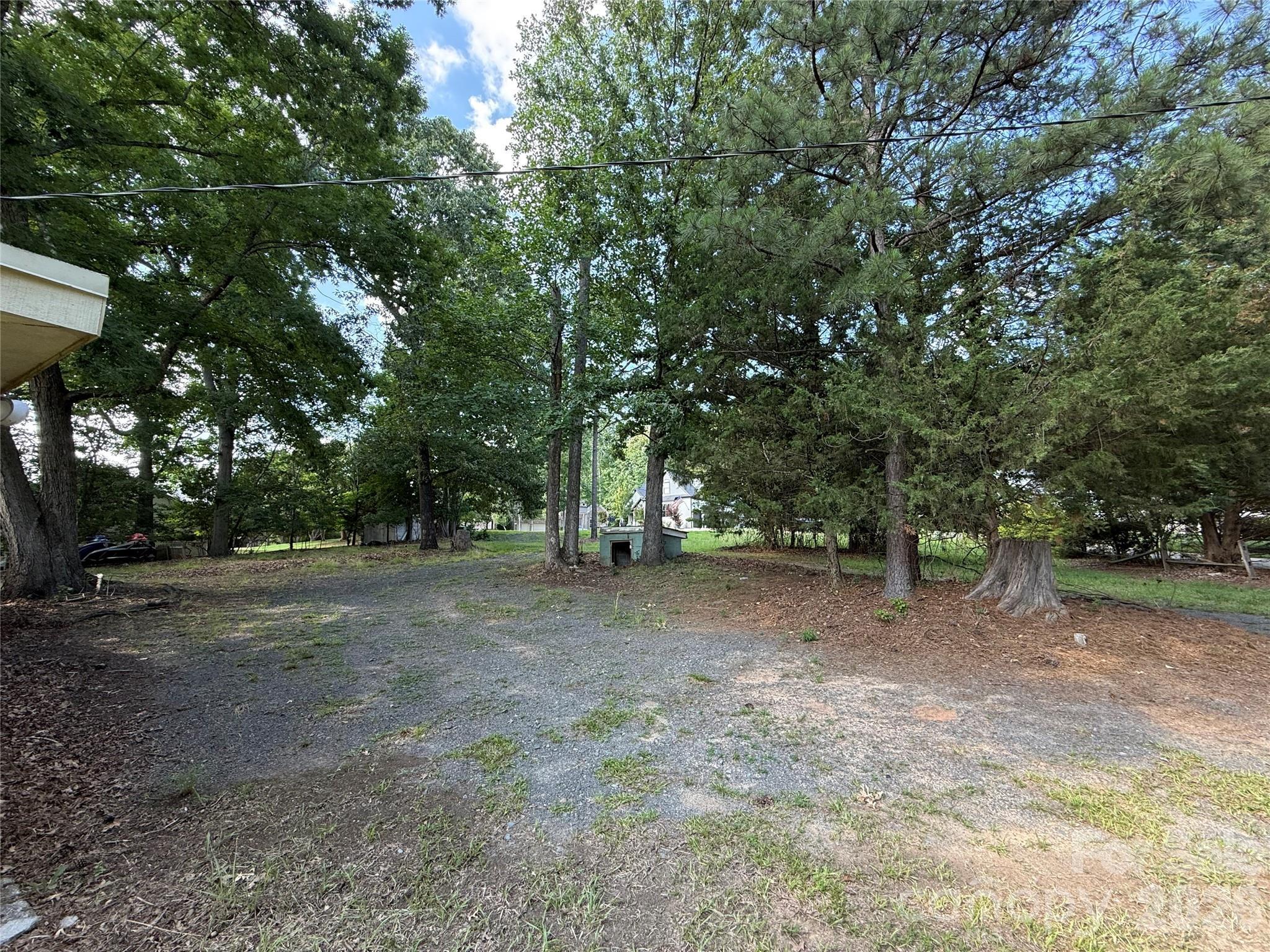 Image 4 Image 4