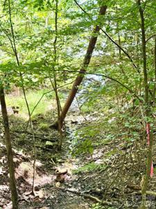 283 Rivercliff Drive
