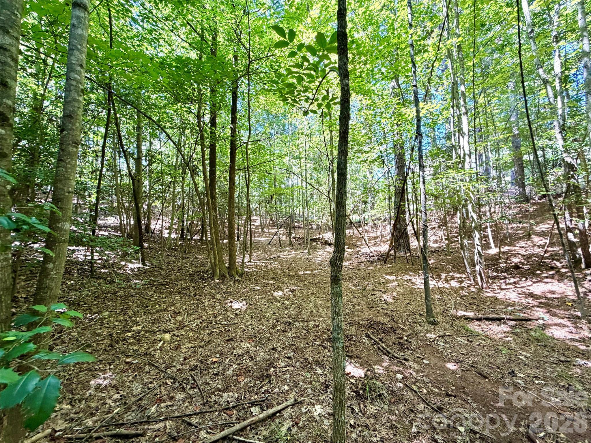 Image 3 Image 3