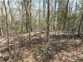 Lot 3 0000 E Creek Road 