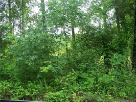 1867 Pleasant Road 