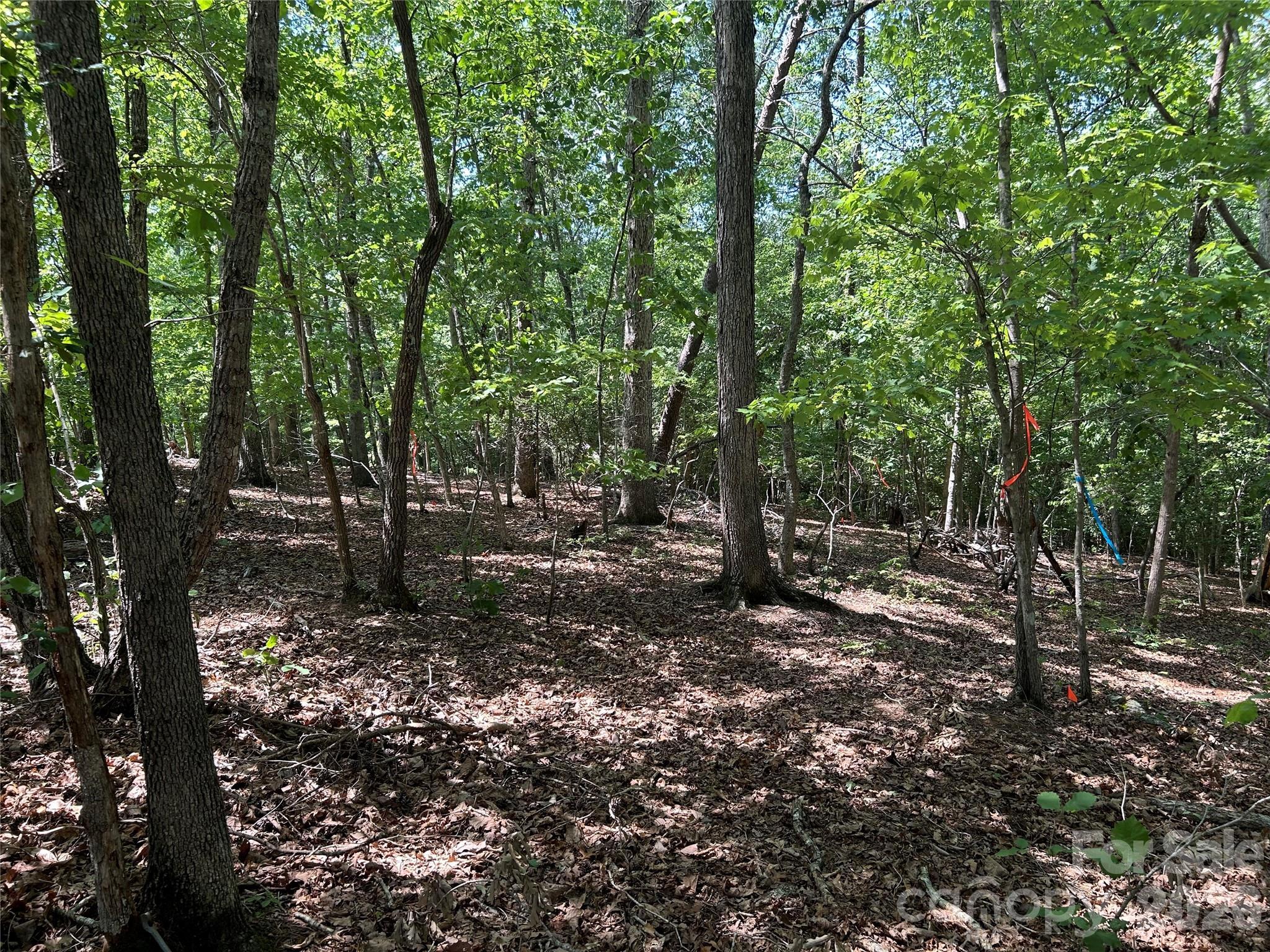 Image 3 Image 3