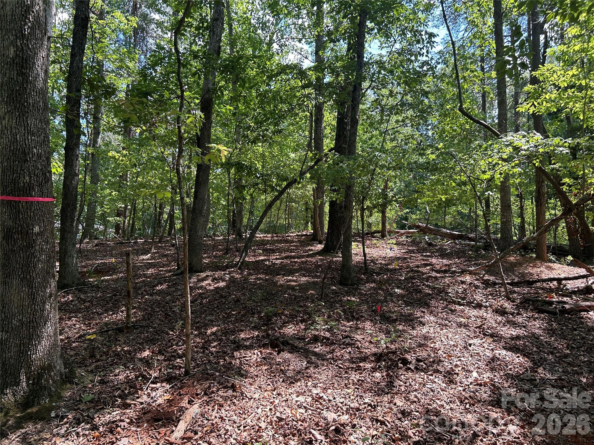 Image 4 Image 4