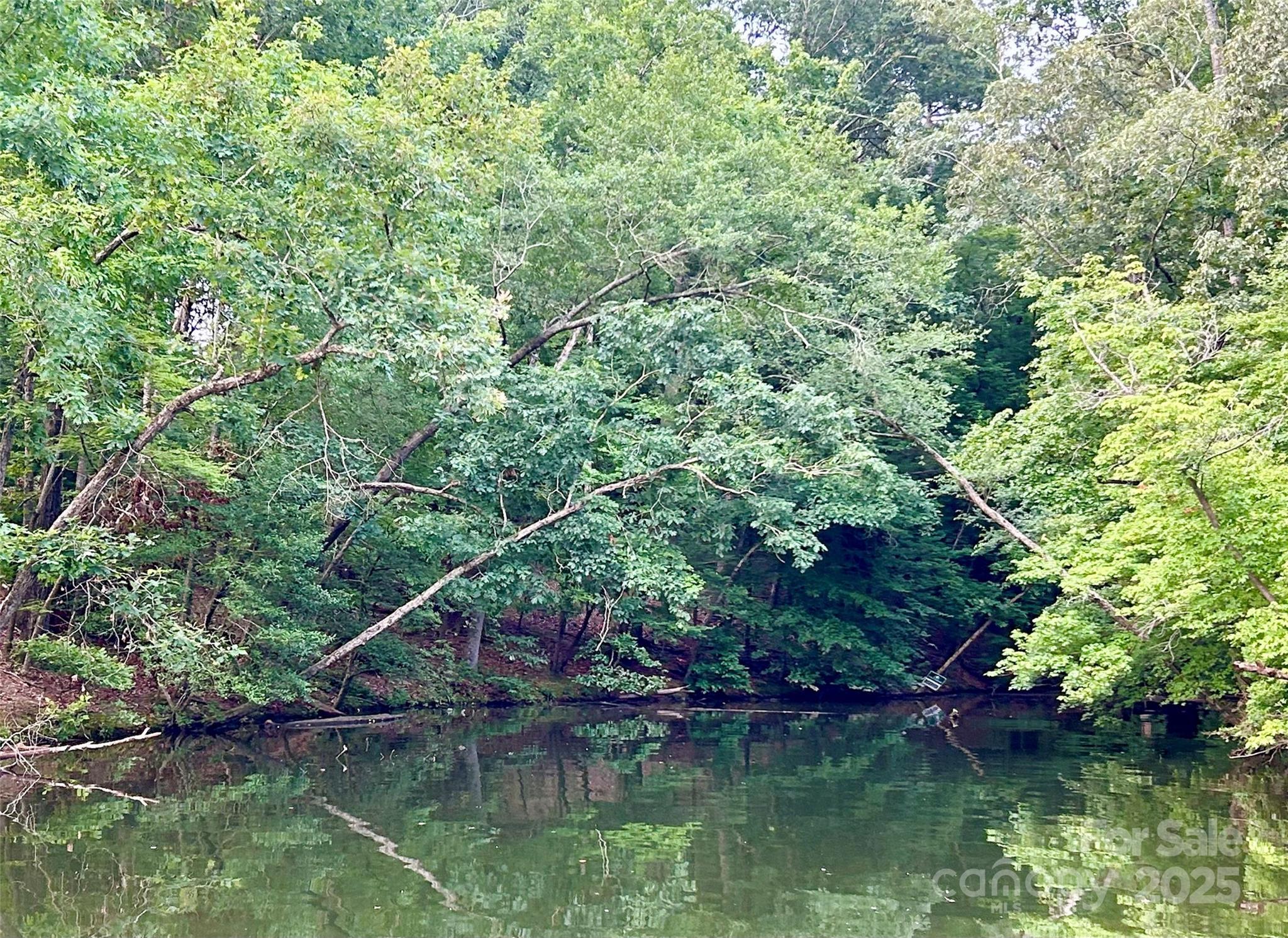 Image 4 Image 4