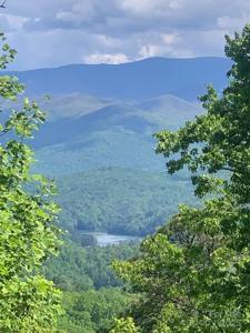 377 Freeman Overlook