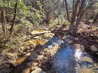 Lot 60 Chinquapin Road