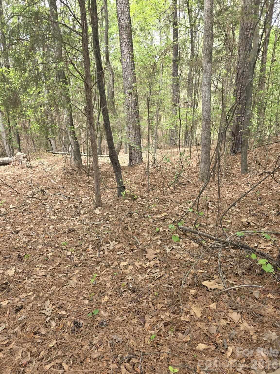 Image 3 Image 3