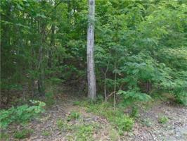 TBD Woodland Circle