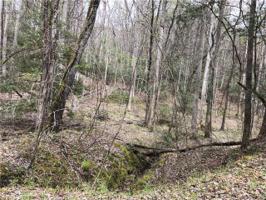 Lot 291 Oriole Drive