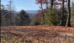 Lot 51 Mountain