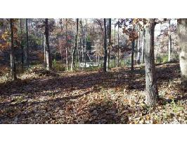 771 Cooks Cove Ridge 
