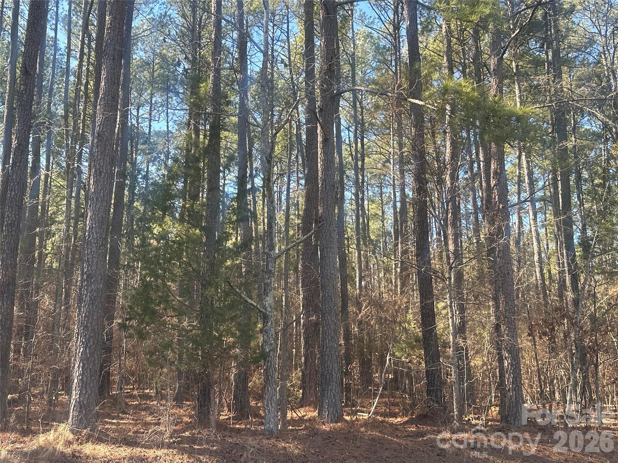 Image 2 Image 2