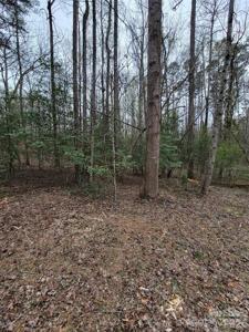 Vacant Elmwood Drive