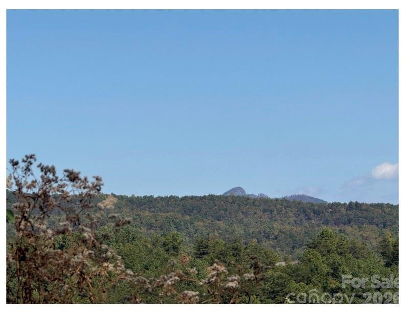 Image 4 Image 4
