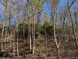 1309 Buffalo Shoals Road
