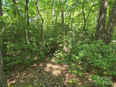 Lot 201 Little Creek Road