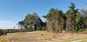 1399 Moss Ridge