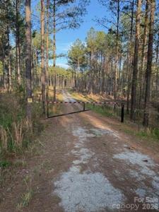 00 Clark Mountain Road