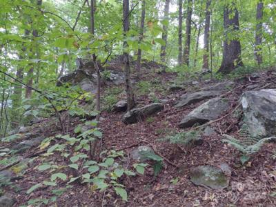 215 Big Rock Lane