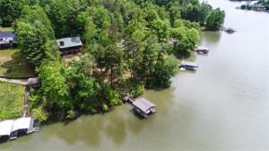 284 Tadpole Lane