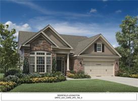 82204 Standing Oak
