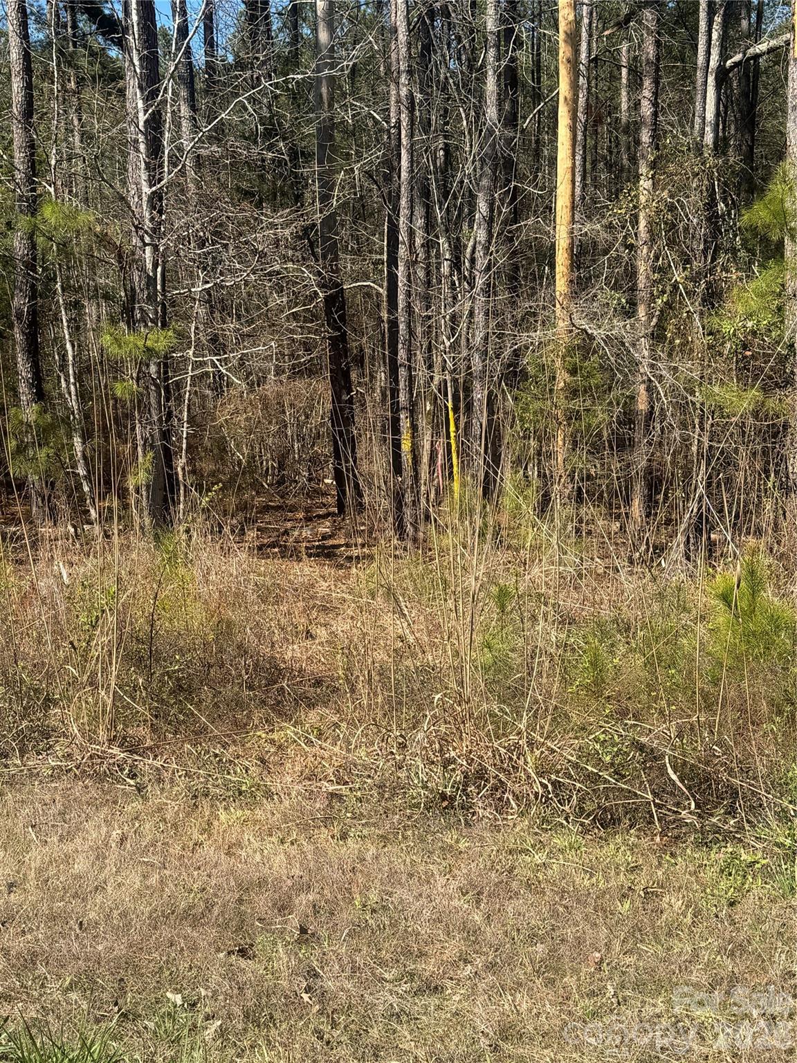 Image 3 Image 3