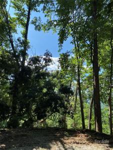 0 Winesap Boulevard