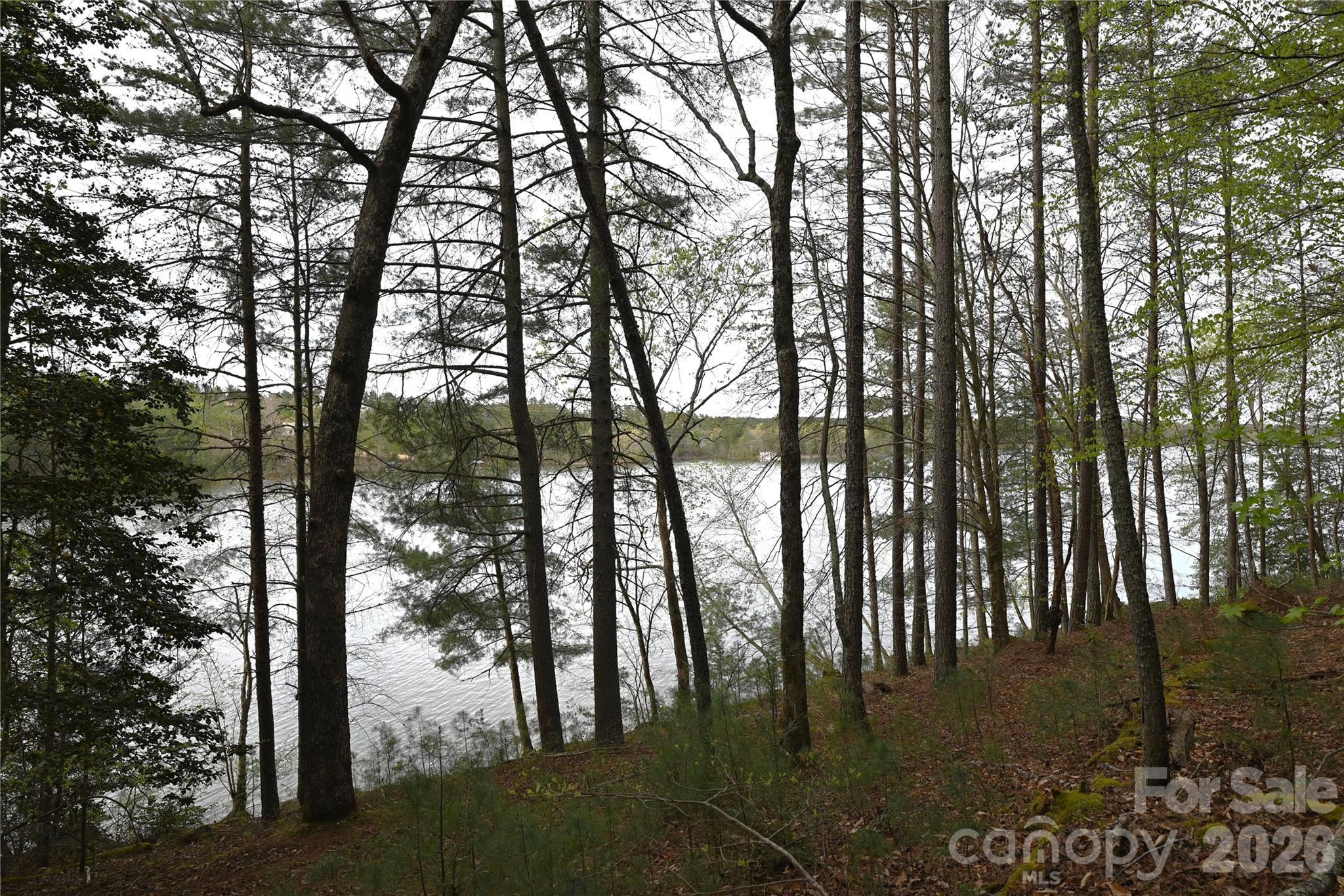 Image 2 Image 2