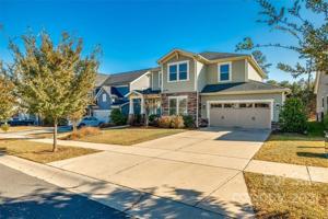 932 Elderberry