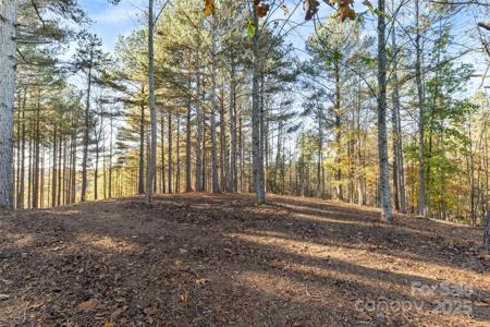 119 Wood Cove Lane