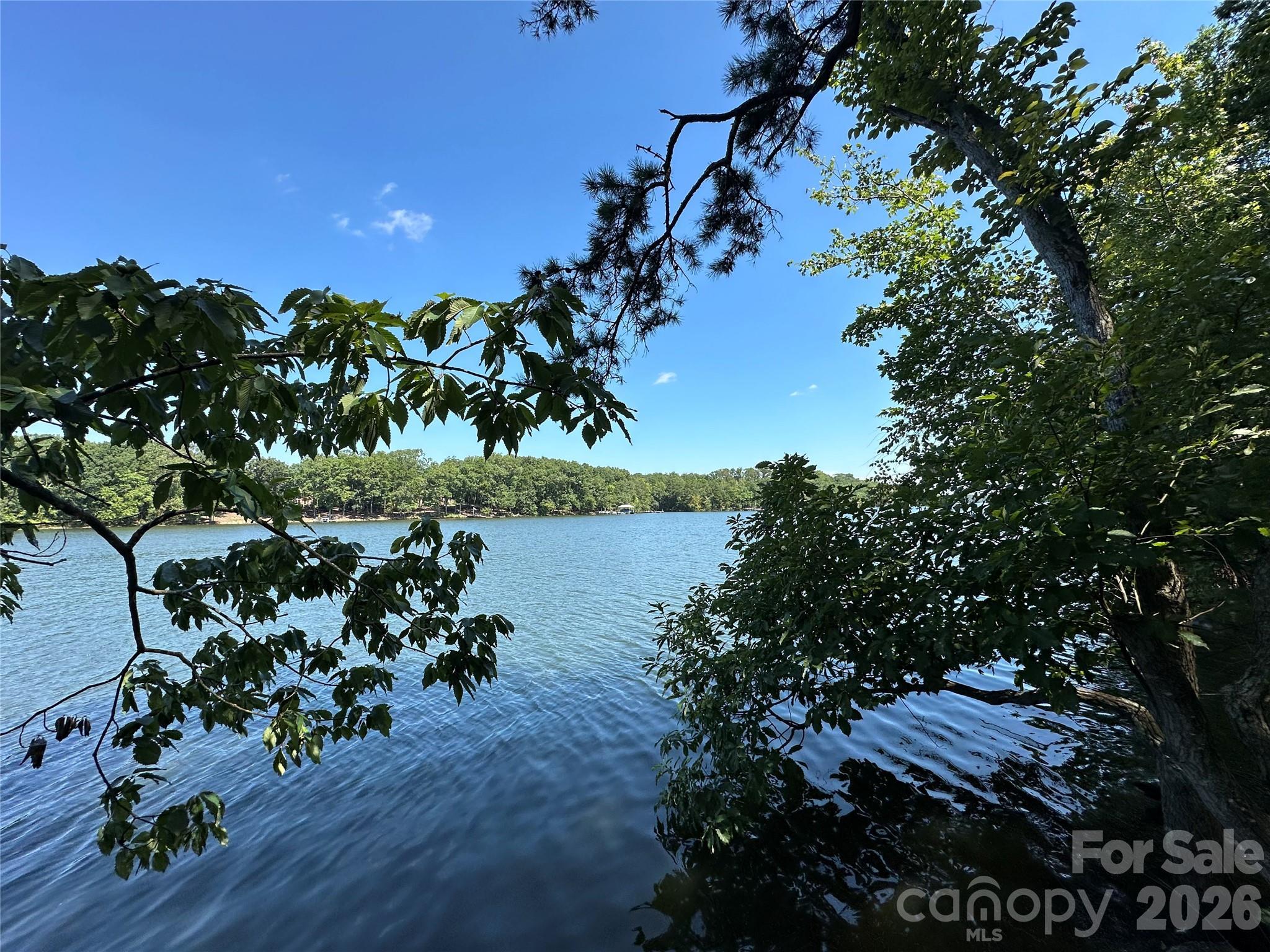 Image 4 Image 4