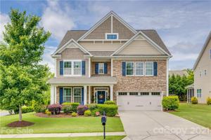 584 Rosemary