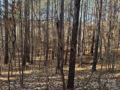 118 Cinder Ridge Court