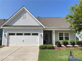 40121 Crooked Stick