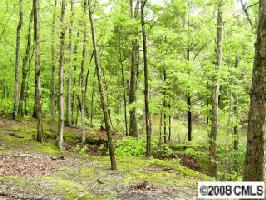 Lot 71 Lot 71 Yager Ridge Drive 