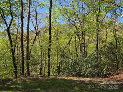 Lot 64 &  65 Walnut Lane