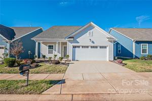 24601 Blue Heron