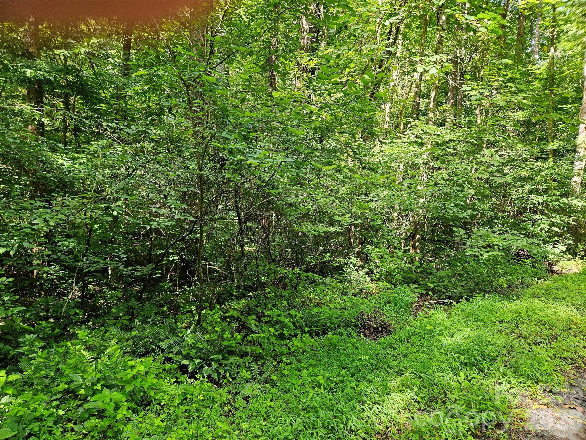 Image 3 Image 3