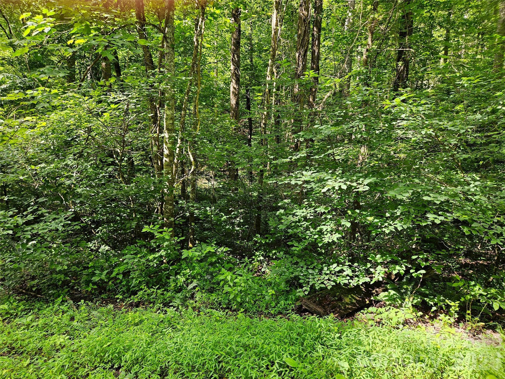 Image 4 Image 4