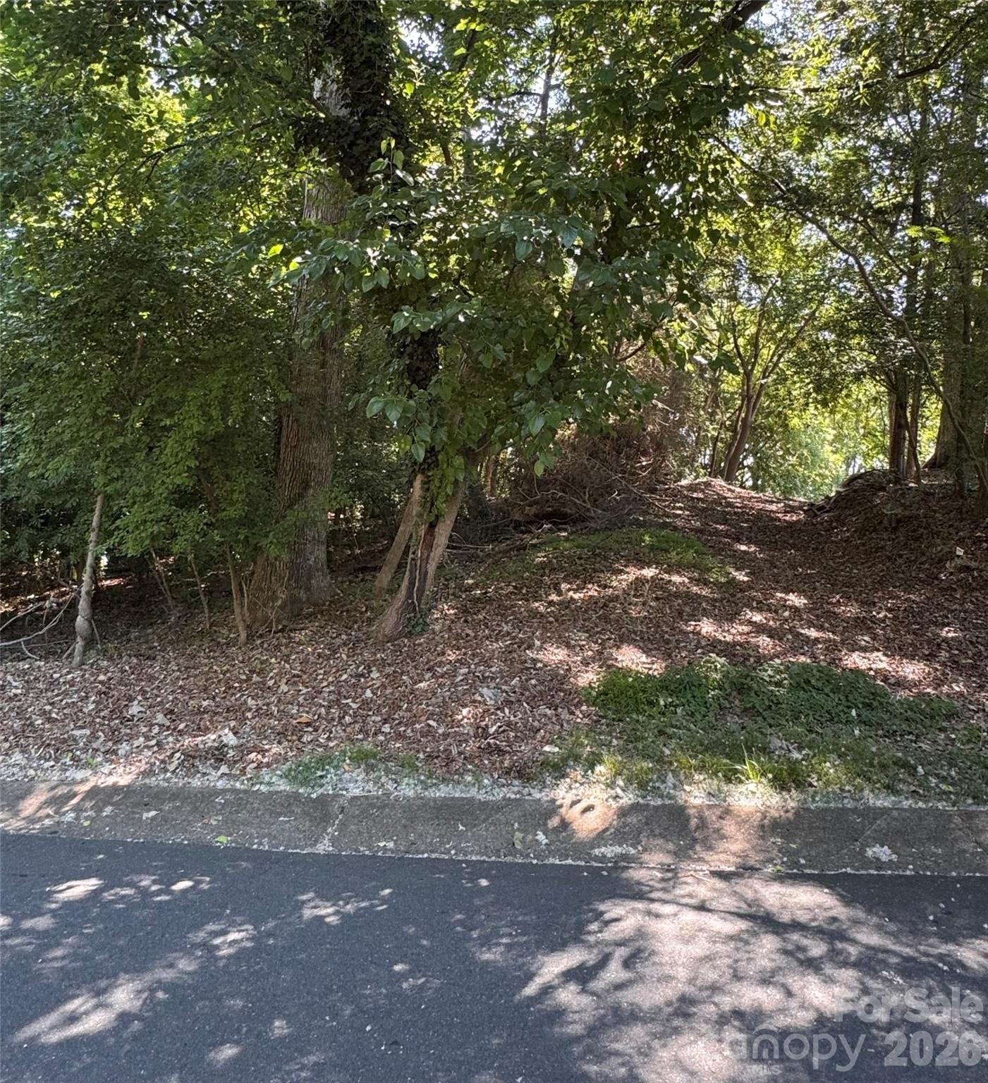 Image 4 Image 4