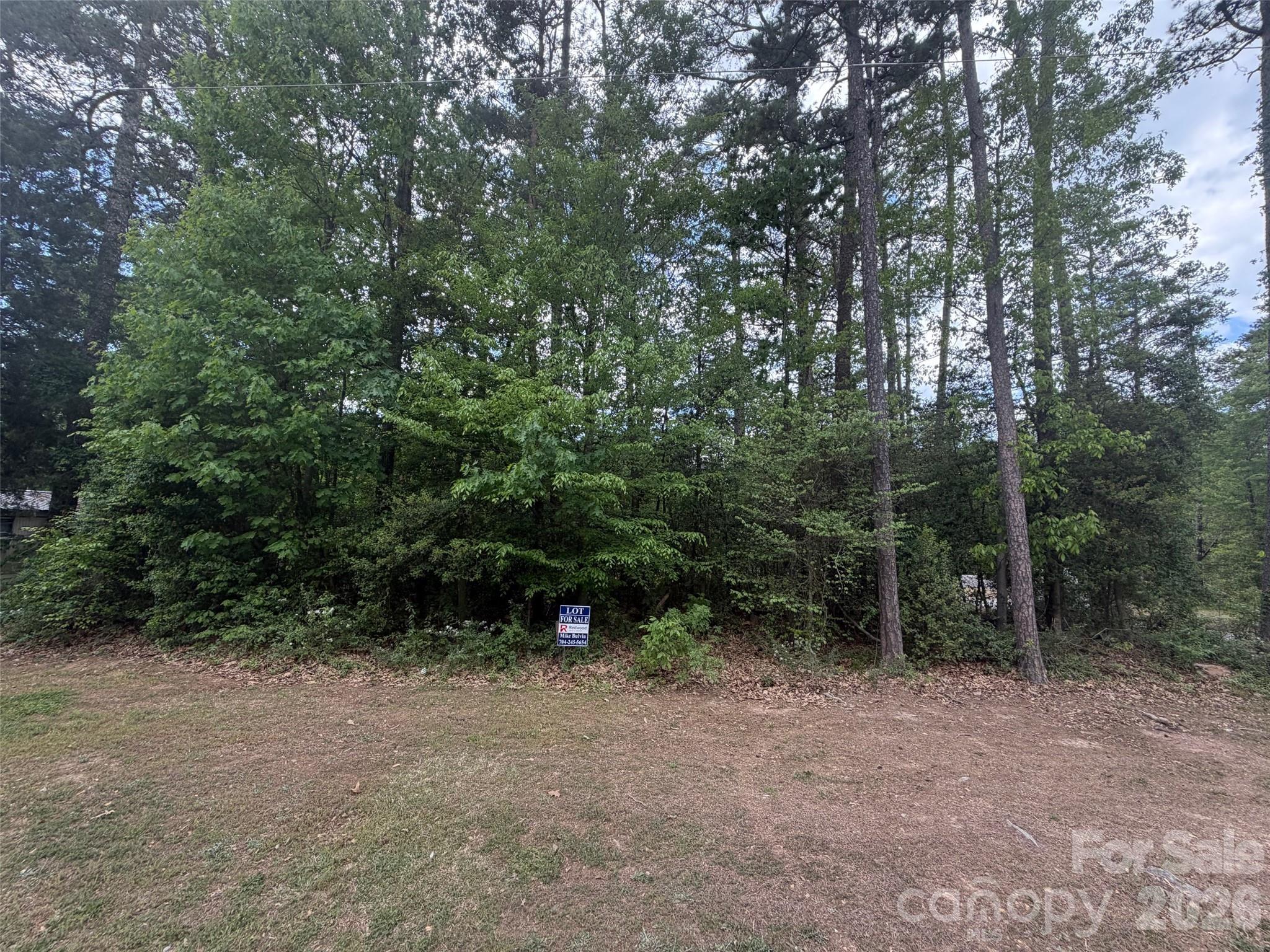 Image 1 Image 1