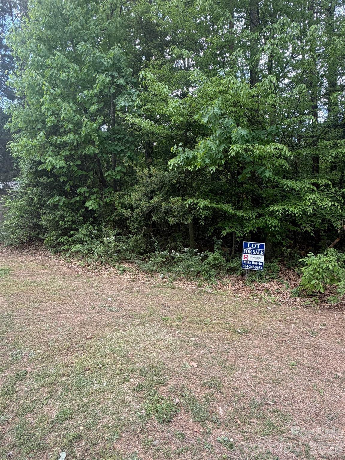 Image 3 Image 3