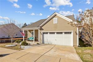 24526 Blue Heron