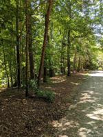 156 Wilderness